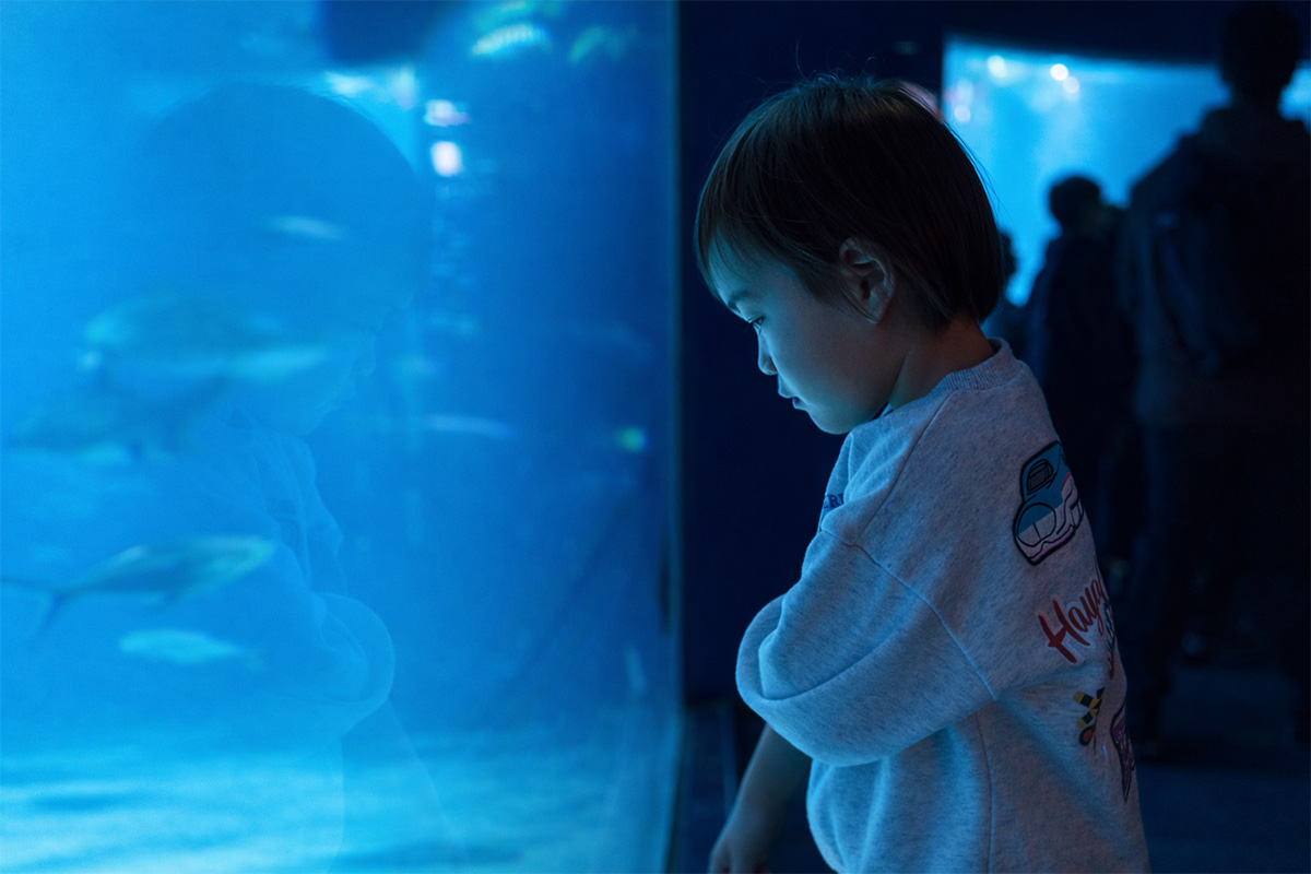 旅行スナップ撮影のイメージ