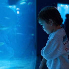 大阪　海遊館　水族館　子ども　撮影